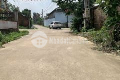 Đất kinh doanh trục chính trại giềng thanh vân