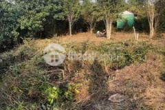 Đất thổ cư thị trấn cần đuớc giá quá rẻ