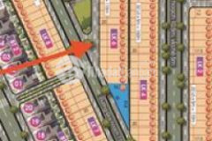 Tôi chính chủ tropical palm ngọc dương mở rộng