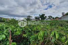 Bán đất diện tích đẹp gần sân bay tp bmt