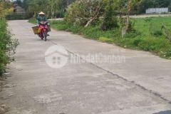 Điện hồng đường 4m sau lưng chợ lạc thành