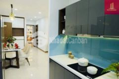 Chung cư a2 phạm ngọc thạch đh y hà nội từ 600tr