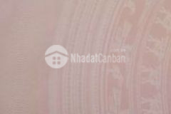 Ngay khu dân trí otto đi thông ra vào thoải mái