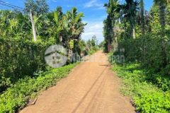 Đất mặt tiền đường ka3 ea tu buôn ma thuột