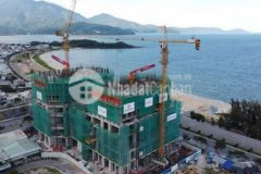 Dự án mới của cdt gotecland hổ trợ ls đến 65