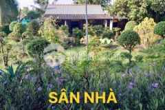 Bán 31 công đất nuôi tôm đầm dơi cà mau