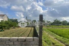 Bán đất quảng đại sầm sơn gần vlasta