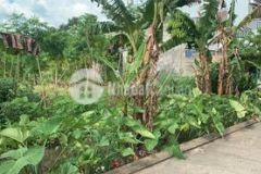 Bán 2 nền thổ cư gần chợ trường long