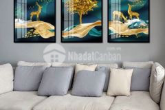 Nhà 44m252199c cách mạng tháng 8 p13 q10