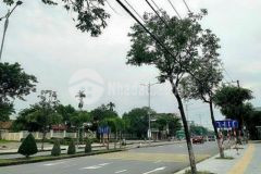 Bán lô đất đg 33m cmt8 đà nẵg thích hợp kinh doah