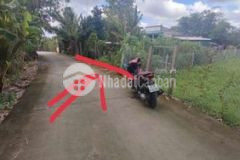 Nền biệt thự vườn 6 42 đh nam ct