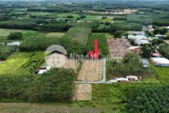 Bán nhanh đất vườn tân phú trung củ chi 950m2