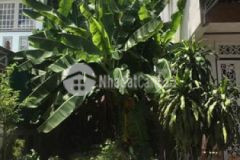 Bán nền đường số 5 kdc thới nhựt p an khánh q