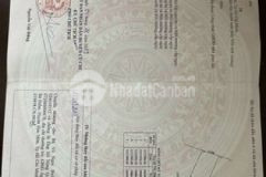 Đất vườn xã tân thạnh đông