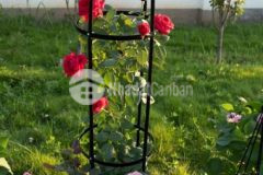 Đất gia tộc mặt sông đồng nai 2 chưa qua đầu tư