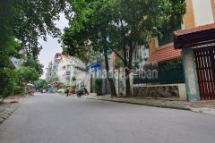 Bán biệt thự kđt tây nam linh đàm kinh doanh tốt 200m2 3 tầng 19.95 tỷ