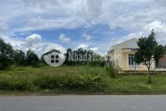 Bán đất mt hương lộ 7, hòa hội, châu thành 12,8m nh 17m x 106 1.552m2, giá 2,3 tỷ.