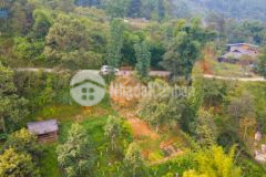 Đất nền sapa phù hợp làm homestay,khách sạn