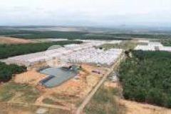 Bán lô đất mặt tiền quốc lộ 1a, cách biển 950 mét, sổ hồng riêng, công chứng ngay