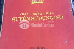 Mảnh đất sapa giá cắt lỗ phù hợp xây khách sạn