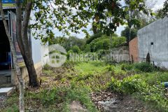 Đất xã phước vĩnh an chưa qua đầu tư, 204m2 giá 2ty850, sổ hồng riêng. cách bv xuyên á 4km