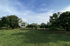 Bán đất mặt tiền duyên hải, long hòa, cần giờ 20 x 88, giá 40,5 tỷ