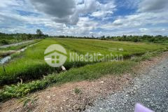 Bán đất vườn 45000 m2 ở thạnh hòa, bến lức, long an giá 58.5 tỷ