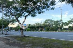 Cần chuyển nhượng lô góc 108m2 mặt đường 353 hải phòng