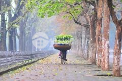 Đất nền tặng kèm nhà, mảnh duy nhất full thổ cư cực vip sapa2 giá rẻ