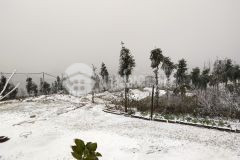 Đất nền sapa2 y tý view hồ, đã có thổ cư