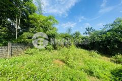 Siêu phẩm nghỉ dưỡng dt 790m2 full thổ cư có nguồn khoáng nóng 35 độ c nóng nhất huyện kim bôi