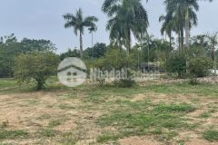 Cần bán lô góc 1.237m2 gần hồ đại lải và hồ đồng đò vĩnh phúc