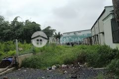 Bán nhanh lô đất gần bệnh viện xuyên á củ chi 320m2 thổ cư 2,2 tỷ shr