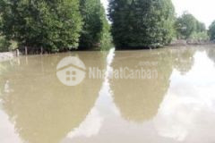 Chính chủ cần bán đất nuôi tôm 7ha xã thanh tùng