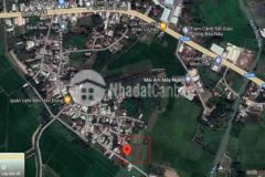 7000m2 trên đất có cây ăn trái cẩm giang tt gò dầu