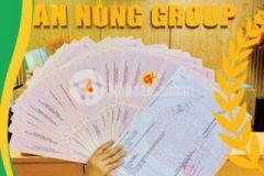 Tôi bán lô nb an nông 5 rẻ hơn giá đang bán 400tr