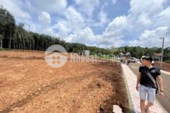 Bán đất nền thổ cư đường nhựa giá rẻ đầu tư