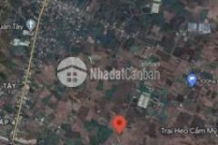 Xuân đông 11 2ha giá tốt 670trsào