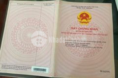 Đất ở lộc thành khu dân cư hiện hữu