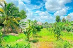 Đất 1000m2 xã nhuận đức 99o triệu sang tên