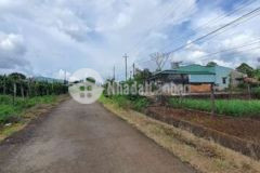 Bán đất tp pleiku giá cực tốt cho nhà đầu tư