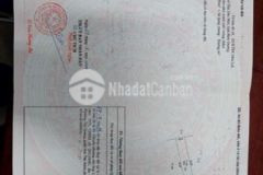 Đất tđc hoà lợi đối diện kcn maple tree gần eaon