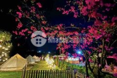 Bán biệt thự tp bảo lộc lợi nhuận 22trtháng