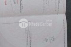 Nhà ở xã hội 235 triệu 100 tiền sổ hồng riêng