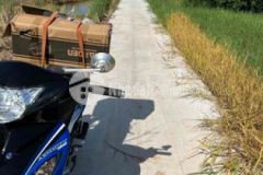 Đất nền 500m2 mt xã phú đông