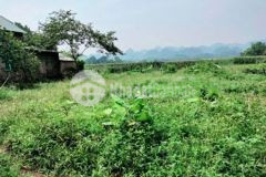 1439m2 1136 ont đât bám suối thanh cao lương sơn