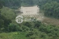 8000m2 200 ont đât đẹp giá rẻ thanh sơn lương sơn