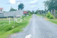 Đất 1046 thổ cư 200m2 đường 6m sắp lên nhựa