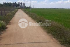 Cần bán 3 3 sào cách chợ eabar buôn đôn 600m