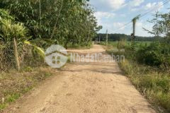 Bán mảnh vườn hơn 2 sào đường qh 29 m giá 390tr